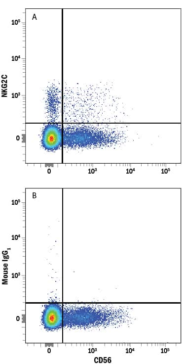 Human peripheral blood mononuclear cell (PBMC) lymphocytes were stained with Mouse Anti-Human NCAM-1/CD56 PE-conjugated Monoclonal Antibody (Catalog # FAB2408P) and either (A) Mouse Anti-Human NKG2C/CD159c APC-conjugated Monoclonal Antibody (Catalog # FAB138A) or (B) Mouse IgG1Allophycocyanin Isotype Control (Catalog # IC002A). View our protocol for Staining Membrane-associated Proteins.