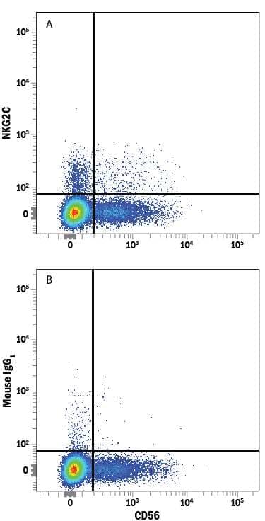 Human peripheral blood mononuclear cell (PBMC) lymphocytes were stained with Mouse Anti-Human NCAM-1/CD56 PE-conjugated Monoclonal Antibody (Catalog # FAB2408P) and either (A) Mouse Anti-Human NKG2C/CD159c Alexa Fluor® 700-conjugated Monoclonal Antibody (Catalog # FAB138N) or (B) Mouse IgG1Alexa Fluor 700 Isotype Control (Catalog # IC002N). View our protocol for Staining Membrane-associated Proteins.