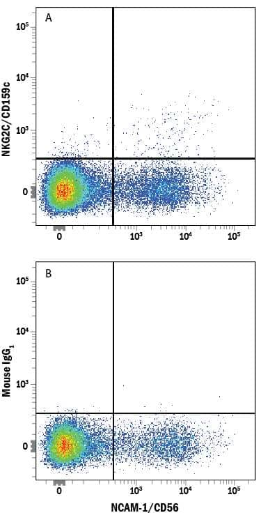 Human peripheral blood mononuclear cells (PBMCs) were stained with Mouse Anti-Human NCAM-1/CD56 PE-conjugated Monoclonal Antibody (Catalog # FAB2408P) and either (A) Mouse Anti-Human NKG2C/CD159c Alexa Fluor® 647-conjugated Monoclonal Antibody (Catalog # FAB138R) or (B) Mouse IgG1Alexa Fluor 647 Isotype Control (Catalog # IC002R). View our protocol for Staining Membrane-associated Proteins.
