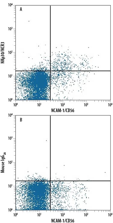 Human peripheral blood lymphocytes were stained with Mouse Anti-Human NCAM-1/CD56 PE-conjugated Monoclonal Antibody (Catalog # FAB2408P) and either (A) Mouse Anti-Human NKp30/NCR3 APC-conjugated Monoclonal Antibody (Catalog # FAB1849A) or (B) Mouse IgG2AAllophycocyanin Isotype Control (Catalog # IC003A). View our protocol for Staining Membrane-associated Proteins.