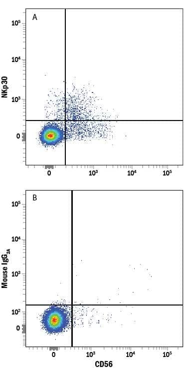 Human peripheral blood mononuclear cells (PBMCs) were stained with Mouse Anti-Human NCAM-1/CD56 APC-conjugated Monoclonal Antibody (Catalog # FAB2408A) and either (A) Mouse Anti-Human NKp30/NCR3 PE-conjugated Monoclonal Antibody (Catalog # FAB1849P) or (B) Mouse IgG2APhycoerythrin Isotype Control (Catalog # IC003P). View our protocol for Staining Membrane-associated Proteins.