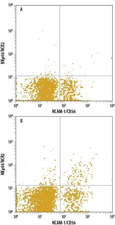 Human peripheral blood mononuclear cells (PBMCs) either (A) untreated or (B) treated with Recombinant Human IL-2 (Catalog # 202-IL) were stained with Mouse Anti-Human NCAM-1/CD56 PE-conjugated Monoclonal Antibody (Catalog # FAB2408P) and Mouse Anti-Human NKp44/NCR2 APC-conjugated Monoclonal Antibody (Catalog # FAB22491A). Quadrant markers were set based on control antibody staining (Catalog # IC003A). View our protocol for Staining Membrane-associated Proteins.