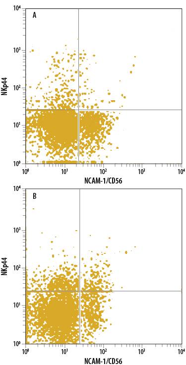 Human peripheral blood mononuclear cells (PBMCs) either (A) untreated or (B) treated with Recombinant Human IL-2 (Catalog # 202-IL) were stained with Mouse Anti-Human NKp44/NCR2 PE-conjugated Monoclonal Antibody (Catalog # FAB22491P) and Mouse Anti-Human NCAM-1/CD56 APC-conjugated Monoclonal Antibody (Catalog # FAB2408A). Quadrant markers were set based on control antibody staining (Catalog # IC003A). View our protocol for Staining Membrane-associated Proteins.