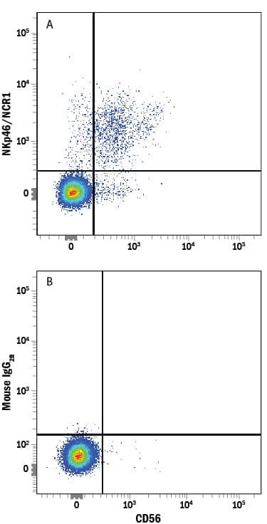 Human peripheral blood mononuclear cells (PBMCs) were stained with Mouse Anti-Human NCAM-1/CD56 APC-conjugated Monoclonal Antibody (Catalog # FAB2408A) and either (A) Mouse Anti-Human NKp46/NCR1 PE-conjugated Monoclonal Antibody (Catalog # FAB1850P) or (B) Mouse IgG2BPhycoerythrin Isotype Control (Catalog # IC0041P). View our protocol for Staining Membrane-associated Proteins.