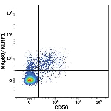 Human peripheral blood mononuclear cells (PBMCs) were stained with Rat Anti-Human NKp80/KLRF1 PE-conjugated Monoclonal Antibody (Catalog # FAB1900P) and Mouse Anti-Human NCAM-1/CD56 APC-conjugated Monoclonal Antibody (Catalog # FAB2408A). View our protocol for Staining Membrane-associated Proteins.