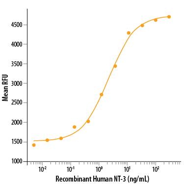 Recombinant Human NT-3 (Catalog #267‑N3) stimulates cell proliferation in the BaF mouse pro-B cell line transfected with TrkB. The ED50 for this effect is 1-10 ng/mL.