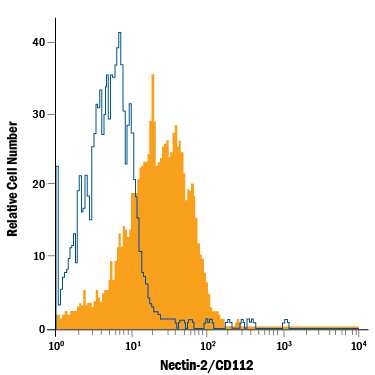 C2C12 mouse myoblast cell line was stained with Rat Anti-Mouse Nectin-2/CD112 APC-conjugated Monoclonal Antibody (Catalog # FAB3869A, filled histogram) or isotype control antibody (Catalog # IC006A, open histogram). View our protocol for Staining Membrane-associated Proteins.