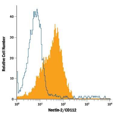 C2C12 mouse myoblast cell line was stained with Rat Anti-Mouse Nectin-2/CD112 PE-conjugated Monoclonal Antibody (Catalog # FAB3869P, filled histogram) or isotype control antibody (Catalog # IC006P, open histogram). View our protocol for Staining Membrane-associated Proteins.