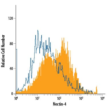 MCF-7 human breast cancer cell line were stained with Mouse Anti-Human Nectin-4 APC-conjugated Monoclonal Antibody (Catalog # FAB2659A, filled histogram) or isotype control antibody (Catalog # IC0041A, open histogram). View our protocol for Staining Membrane-associated Proteins.