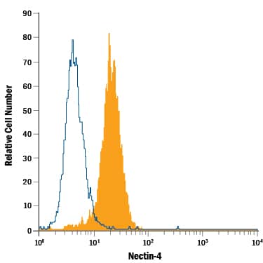 MCF-7 human breast cancer cell line was stained with Mouse Anti-Human Nectin-4 Alexa Fluor® 488-conjugated Monoclonal Antibody (Catalog # FAB2659G, filled histogram) or isotype control antibody (Catalog # IC0041G, open histogram). View our protocol for Staining Membrane-associated Proteins.