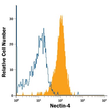 MCF-7 human breast cancer cell line was stained with Mouse Anti-Human Nectin-4 Alexa Fluor® 700-conjugated Monoclonal Antibody (Catalog # FAB2659N, filled histogram) or isotype control antibody (Catalog # IC0041N, open histogram). View our protocol for Staining Membrane-associated Proteins.