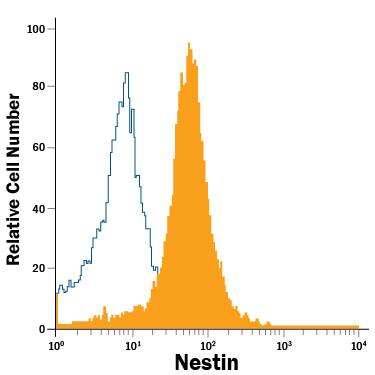 NTera-2 human testicular embryonic carcinoma cell line was stained with Mouse Anti-Human Nestin Fluorescein-conjugated Monoclonal Antibody (Catalog # IC1259F, filled histogram) or isotype control antibody (Catalog # IC002F, open histogram). To facilitate intracellular staining, cells were fixed with Flow Cytometry Fixation Buffer (Catalog # FC004) and permeabilized with Flow Cytometry Permeabilization/Wash Buffer I (Catalog # FC005). View our protocol for Staining Intracellular Molecules.