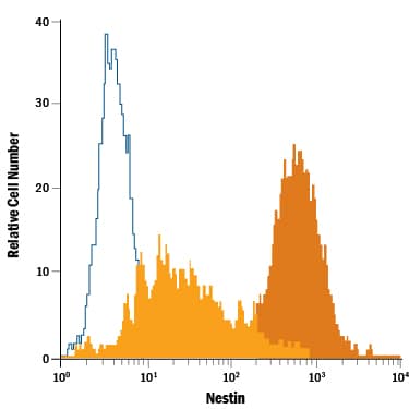 NTera-2 human testicular embryonic carcinoma cell line either untreated (dark orange filled histogram) or treated with 5 µM Retinoic Acid for 6 days (light orange filled histogram) was stained with Mouse Anti-Human Nestin PE-conjugated Monoclonal Antibody (Catalog # IC1259P) or isotype control antibody (Catalog # IC002P, open histogram). To facilitate intracellular staining, cells were fixed with Flow Cytometry Fixation Buffer (Catalog # FC004) and permeabilized with Flow Cytometry Permeabilization/Wash Buffer I (Catalog # FC005). View our protocol for Staining Intracellular Molecules.