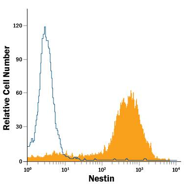 Mouse cortical stem cells were stained with Mouse Anti-Mouse/Rat Nestin PE-conjugated Monoclonal Antibody (Catalog # IC2736P, filled histogram) or isotype control antibody (Catalog # IC003P, open histogram). To facilitate intracellular staining, cells were fixed with Flow Cytometry Fixation Buffer (Catalog # FC004) and permeabilized with Flow Cytometry Permeabilization/Wash Buffer I (Catalog # FC005). View our protocol for Staining Intracellular Molecules.