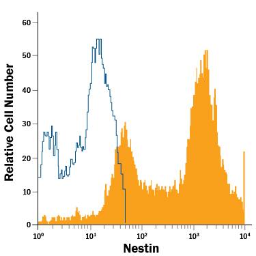 Rat cortical stem cells were stained with Mouse Anti-Mouse/Rat Nestin PE-conjugated Monoclonal Antibody (Catalog # IC2736P, filled histogram) or isotype control antibody (Catalog # IC003P, open histogram). To facilitate intracellular staining, cells were fixed with Flow Cytometry Fixation Buffer (Catalog # FC004) and permeabilized with Flow Cytometry Permeabilization/Wash Buffer I (Catalog # FC005). View our protocol for Staining Intracellular Molecules.