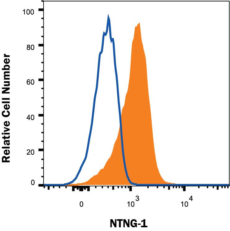 HEK293 human embryonic kidney cell line transfected with Netrin-G1a (filled histogram) or irrelevant protein (open histogram) was stained with Mouse Anti-Human Netrin-G1a Monoclonal Antibody (Catalog # MAB10019) followed by APC-conjugated Anti-Mouse IgG Secondary Antibody (Catalog # F0101B). View our protocol for Staining Membrane-associated Proteins.