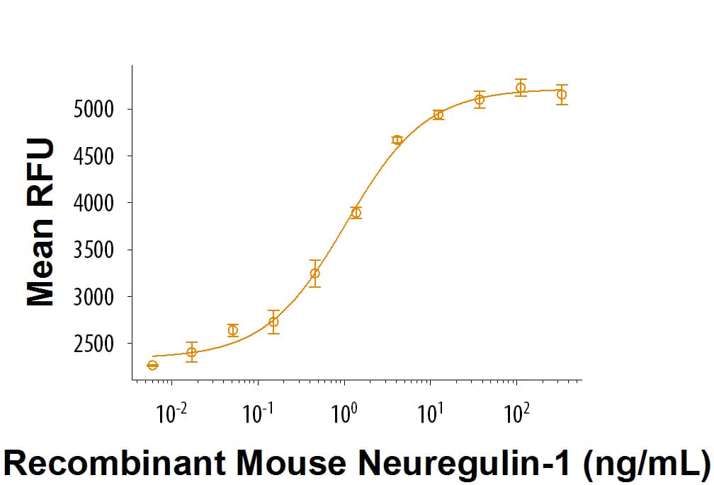 Recombinant Mouse Neuregulin-1/NRG1 (Catalog # 9875-NR) stimulates MCF-7 human breast cancer cell proliferation. The ED50 for this effect is 0.9-5.4 ng/mL.