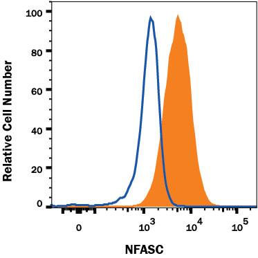 U87-MG human cell line was stained with Mouse Anti-Human NFASC Monoclonal Antibody (Catalog # MAB8208, filled histogram) or isotype control antibody (Catalog # MAB002, open histogram), followed by PE-conjugated Anti-Mouse IgG Secondary Antibody (Catalog # F0102B). View our protocol for Staining Membrane-associated Proteins.