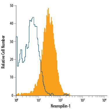 HUVEC human umbilical vein endothelial cells were stained with Mouse Anti-Human Neuropilin-1 Alexa Fluor® 700-conjugated Monoclonal Antibody (Catalog # FAB3870N, filled histogram) or isotype control antibody (Catalog # IC003N, open histogram). View our protocol for Staining Membrane-associated Proteins.