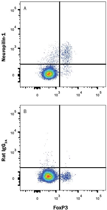 Mouse CD4+splenocytes were stained with Rabbit Anti-Human/Mouse FoxP3 Alexa Fluor® 488-conjugated Monoclonal Antibody (Catalog # IC8214G) and either (A) Rat Anti-Mouse Neuropilin-1 Alexa Fluor® 647-conjugated Monoclonal Antibody (Catalog # FAB59941R) or (B) Rat IgG2AAlexa Fluor 647 Isotype Control (Catalog # IC006R). View our protocol for Staining Membrane-associated Proteins.