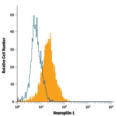 bEnd.3 mouse endothelioma cell line was stained with Rat Anti-Mouse Neuropilin-1 Alexa Fluor® 488-conjugated Monoclonal Antibody (Catalog # FAB5994G, filled histogram) or isotype control antibody (Catalog # IC006G, open histogram). View our protocol for Staining Membrane-associated Proteins.