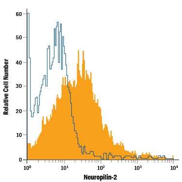 HUVEC human umbilical vein endothelial cells were stained with Mouse Anti-Human/Mouse Neuropilin-2 APC-conjugated Monoclonal Antibody (Catalog # FAB22151A, filled histogram) or isotype control antibody (Catalog # IC003A, open histogram). View our protocol for Staining Membrane-associated Proteins.