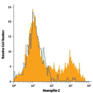 bEnd.3 mouse endothelioma cell line was stained with Mouse Anti-Human/Mouse Neuropilin-2 APC-conjugated Monoclonal Antibody (Catalog # FAB22151A, filled histogram) or isotype control antibody (Catalog # IC003A, open histogram). View our protocol for Staining Membrane-associated Proteins.