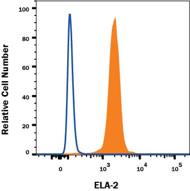 THP-1 human acute monocytic leukemia cell line treated with 3 µM monensin for 3 hours was stained with Mouse Anti-Human Neutrophil Elastase/ELA2 Alexa Fluor® 488-conjugated Monoclonal Antibody (Catalog # IC91671G, filled histogram) or isotype control antibody (Catalog # IC002G, open histogram). To facilitate intracellular staining, cells were fixed with Flow Cytometry Fixation Buffer (Catalog # FC004) and permeabilized with Flow Cytometry Permeabilization/Wash Buffer I (Catalog # FC005). View our protocol for Staining Membrane-associated Proteins.