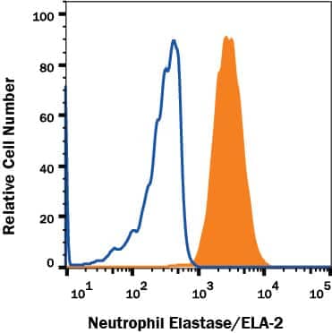 THP-1 human acute monocytic leukemia cell line was stained with Mouse Anti-Human Neutrophil Elastase/ELA2 Monoclonal Antibody (Catalog # MAB91673, filled histogram) or isotype control antibody (Catalog # MAB002, open histogram), followed by Phycoerythrin-conjugated Anti-Mouse IgG Secondary Antibody (Catalog # F0102B). To facilitate intracellular staining, cells were fixed with Flow Cytometry Fixation Buffer (Catalog # FC004) and permeabilized with Flow Cytometry Permeabilization/Wash Buffer I(Catalog # FC005).View our protocol for Staining Intracellular Molecules.