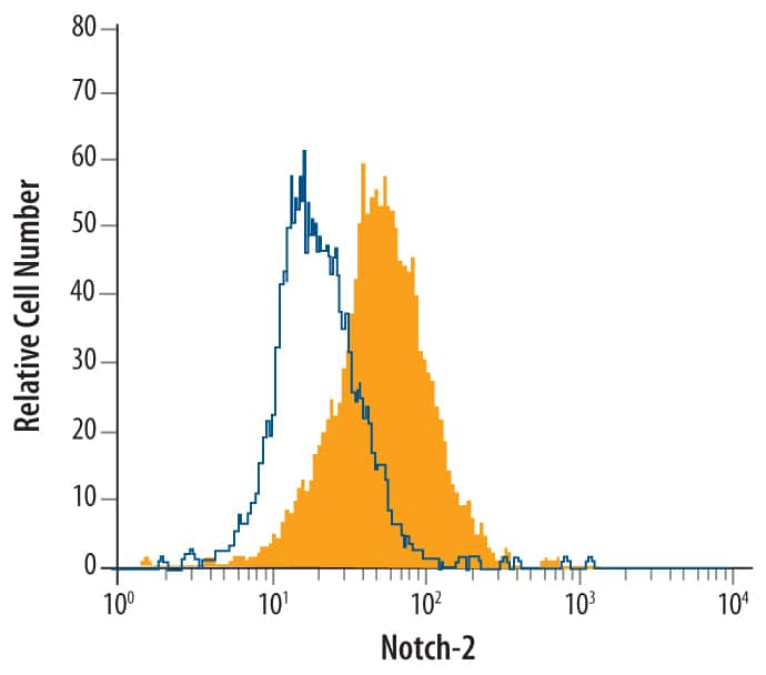 C2C12 mouse myoblast cell line was stained with Mouse Notch‑2 Monoclonal Antibody (Catalog # MAB5196, filled histogram) or isotype control antibody (Catalog # MAB005, open histogram), followed by Phycoerythrin-conjugated Anti-Rat IgG F(ab')2 Secondary Antibody (Catalog # F0105B).