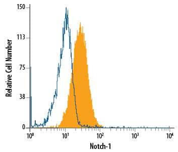 U2OS human osteosarcoma cell line was stained with Mouse Anti-Human Notch-1 PE-conjugated Monoclonal Antibody (Catalog # FAB5317P, filled histogram) or isotype control antibody (Catalog # IC002P, open histogram). View our protocol for Staining Membrane-associated Proteins.