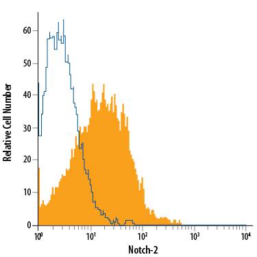 NTera-2 human testicular embryonic carcinoma cell line was stained with Mouse Anti-Human Notch-2 APC-conjugated Monoclonal Antibody (Catalog # FAB37351A, filled histogram) or isotype control antibody (Catalog # IC002A, open histogram). View our protocol for Staining Membrane-associated Proteins.