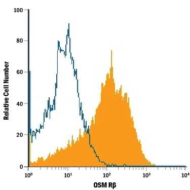 D3 mouse embryonic stem cell line was stained with Rat Anti-Mouse OSM R beta  Alexa Fluor® 700-conjugated Monoclonal Antibody (Catalog # FAB662N, filled histogram) or isotype control antibody (Catalog # IC006N, open histogram). View our protocol for Staining Membrane-associated Proteins.