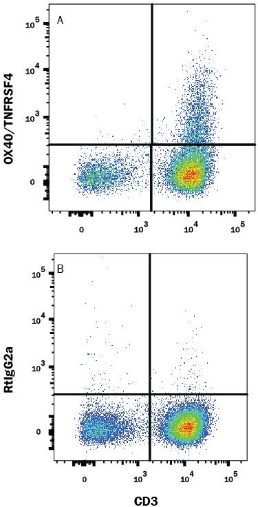 Human peripheral blood mononuclear cells (PBMCs) were treated with 5 μg/ml PHA for 5 days then stained with Mouse Anti-Human CD3 PE-conjugated Monoclonal Antibody (FAB100P) and either (A) Rat Anti-Human OX40/TNFRSF4 APC-conjugated Monoclonal Antibody (Catalog # FAB3388A) or (B) Rat IgG2AAllophycocyanin Isotype Control (IC006A). View our protocol for Staining Membrane-associated Proteins.