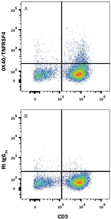 Human peripheral blood mononuclear cells (PBMCs) were stained with Mouse Anti-Human CD3 APC-conjugated Monoclonal Antibody (Catalog # FAB100A) and either (A) Rat Anti-Human OX40/TNFRSF4 Fluorescein-conjugated Monoclonal Antibody (Catalog # FAB3388F) or (B) Rat IgG2AFluorescein Isotype Control (Catalog # IC006F). View our protocol for Staining Membrane-associated Proteins.