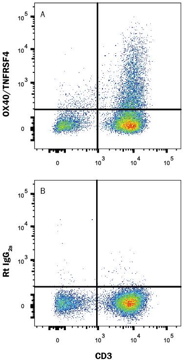 Human peripheral blood mononuclear cells (PBMCs) were treated with 5 μg/ml PHA for 5 days then were stained with Mouse Anti-Human CD3 APC-conjugated Monoclonal Antibody (FAB100A) and either (A) Rat Anti-Human OX40/TNFRSF4 PE-conjugated Monoclonal Antibody (Catalog # FAB3388P) or (B) Rat IgG2APhycoerythrin Isotype Control (IC006P). View our protocol for Staining Membrane-associated Proteins.