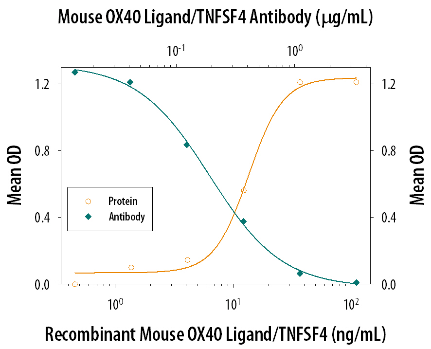 In the presence of a cross-linking antibody, Mouse polyHistidine Monoclonal Antibody (10 µg/mL, Catalog # MAB050) and sub-optimal amounts of Mouse CD3 epsilon  Monoclonal Antibody (Catalog # MAB484), Recombinant Mouse OX40 Ligand/TNFSF4 (Catalog # 1236-OX) stimulates IL‑2 secretion in mouse T cells in a dose-dependent manner (orange line), as measured by the Mouse IL‑2 Quantikine ELISA Kit (Catalog # M2000). Under these conditions, IL‑2 secretion elicited by Recombinant Mouse OX40 Ligand/TNFSF4 (100 ng/mL) is neutralized (green line) by increasing concentrations of Goat Anti-Mouse OX40 Ligand/TNFSF4 Antigen Affinity-purified Polyclonal Antibody (Catalog # AF1236). The ND50 is typically 0.2-0.6 µg/mL.
