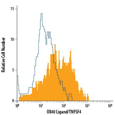 Human peripheral blood mononuclear cells (PBMCs) treated with Recombinant Human GM-CSF (Catalog # 215-GM) and LPS were stained with Mouse Anti-Human OX40 Ligand/TNFSF4 APC-conjugated Monoclonal Antibody (Catalog # FAB10541A, filled histogram) or isotype control antibody (Catalog # IC002A, open histogram). View our protocol for Staining Membrane-associated Proteins.
