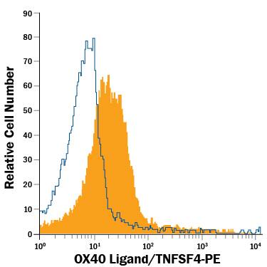 Mouse splenocytes were treated with LPS and recombinant mouse GM-CSF (Catalog # 415-ML), then stained with Goat Anti-Mouse OX40 Ligand/TNFSF4 PE-conjugated Antigen Affinity-purified Polyclonal Antibody (Catalog # FAB1236P, filled histogram) or isotype control antibody (Catalog # IC108P, open histogram). View our protocol for Staining Membrane-associated Proteins.