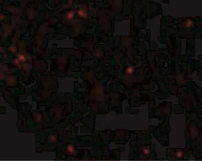 Immunocytochemistry/Immunofluorescence: Occludin Antibody [NBP1-77037] - Staining of OCLN in Human Liver tissue with OCLN antibody at 20 ug/mL.