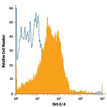 D3 mouse embryonic stem cell line treated with 5 µM Retinoic Acid for 3 days was stained with Rat Anti-Human/Mouse Oct-3/4 APC-conjugated Monoclonal Antibody (Catalog # IC1759A, filled histogram) or isotype control antibody (IC013A, open histogram). To facilitate intracellular staining, cells were fixed with Flow Cytometry Fixation Buffer (FC004) and permeabilized with Flow Cytometry Permeabilization/Wash Buffer I (FC005). View our protocol for Staining Intracellular Molecules.