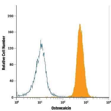 Saos-2 human osteosarcoma cell line was stained with Mouse Anti-Human Osteocalcin APC-conjugated Monoclonal Antibody (Catalog # IC1419A, filled histogram) or isotype control antibody (Catalog # IC002A, open histogram). To facilitate intracellular staining, cells were fixed with Flow Cytometry Fixation Buffer (Catalog # FC004) and permeabilized with Flow Cytometry Permeabilization/Wash Buffer I (Catalog # FC005). View our protocol for Staining Intracellular Molecules.