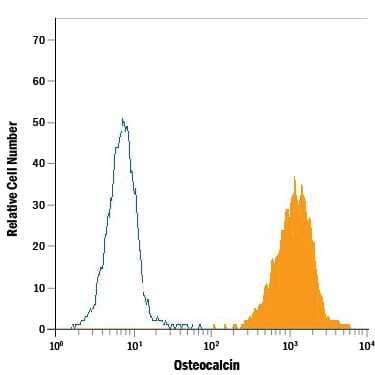 Human osteoblasts were stained with Mouse Anti-Human Osteocalcin APC-conjugated Monoclonal Antibody (Catalog # IC1419A, filled histogram) or isotype control antibody (Catalog # IC002A, open histogram). To facilitate intracellular staining, cells were fixed with Flow Cytometry Fixation Buffer (Catalog # FC004) and permeabilized with Flow Cytometry Permeabilization/Wash Buffer I (Catalog # FC005). View our protocol for Staining Intracellular Molecules.