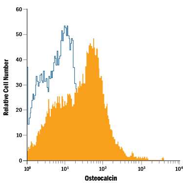 Differentiated human mesemchymal progenitor cells were stained with Mouse Anti-Human Osteocalcin PE-conjugated Monoclonal Antibody (Catalog # IC1419P, filled histogram) or isotype control antibody (Catalog # IC002P, open histogram). To facilitate intracellular staining, cells were fixed with Flow Cytometry Fixation Buffer (Catalog # FC004) and permeabilized with Flow Cytometry Permeabilization/Wash Buffer I (Catalog # FC005). View our protocol for Staining Intracellular Molecules.