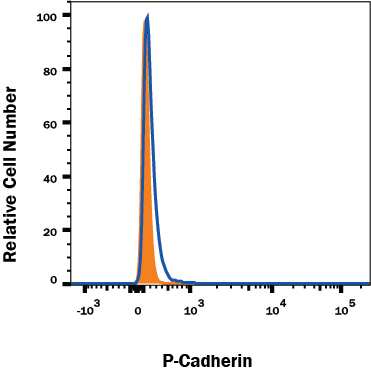 P-Cadherin knockout A431 human epithelial carcinoma cell line was stained with PerCP-conjugated Mouse Anti-Human P-Cadherin Monoclonal Antibody (Catalog # FAB861C, filled histogram) or isotype control antibody (Catalog # IC002C, open histogram). No staining in the P-Cadherin knockout A431 cell line was observed. Cells were stained in a buffer containing Ca2+ and Mg2+. View our protocol for Staining Membrane-associated Proteins.