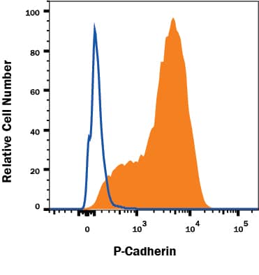 A431 human epithelial carcinoma cell line was stained with Mouse Anti-Human P-Cadherin Alexa Fluor® 488-conjugated Monoclonal Antibody (Catalog # FAB861G, filled histogram) or isotype control antibody (Catalog # IC002G, open histogram). View our protocol for Staining Membrane-associated Proteins.