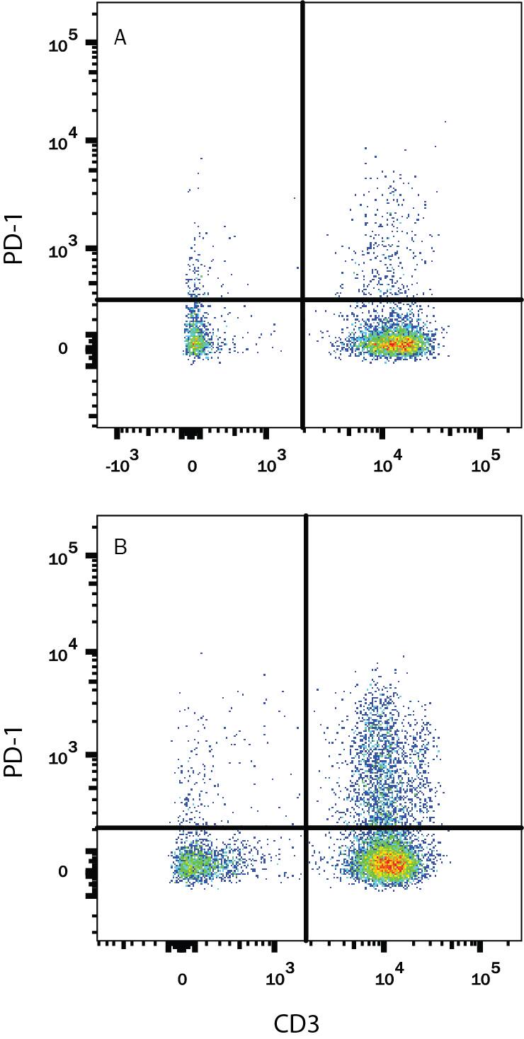 Human peripheral blood mononuclear cells (PBMCs) either (A) untreated or (B) treated with 5 µg/mL PHA overnight were stained with Goat Anti-Human PD-1 PE-conjugated Antigen Affinity-purified Polyclonal Antibody (Catalog # FAB7115P) and Mouse Anti-Human CD3e APC-conjugated Monoclonal Antibody (Catalog # FAB100A). Quadrant markers were set based on control antibody staining (Catalog # IC108P). View our protocol for Staining Membrane-associated Proteins.