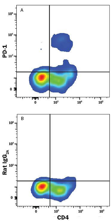 Mouse thymocytes gated on CD3+CD8+cells were stained with Rat Anti-Mouse CD4 Alexa Fluor® 405-conjugated Monoclonal Antibody (FAB554V) and either (A) Rat Anti-Mouse PD-1 Alexa Fluor® 488-conjugated Monoclonal Antibody (Catalog # FAB7738G) or (B) Rat IgG2AAlexa Fluor 488 Isotype Control (IC006G). View our protocol for Staining Membrane-associated Proteins.