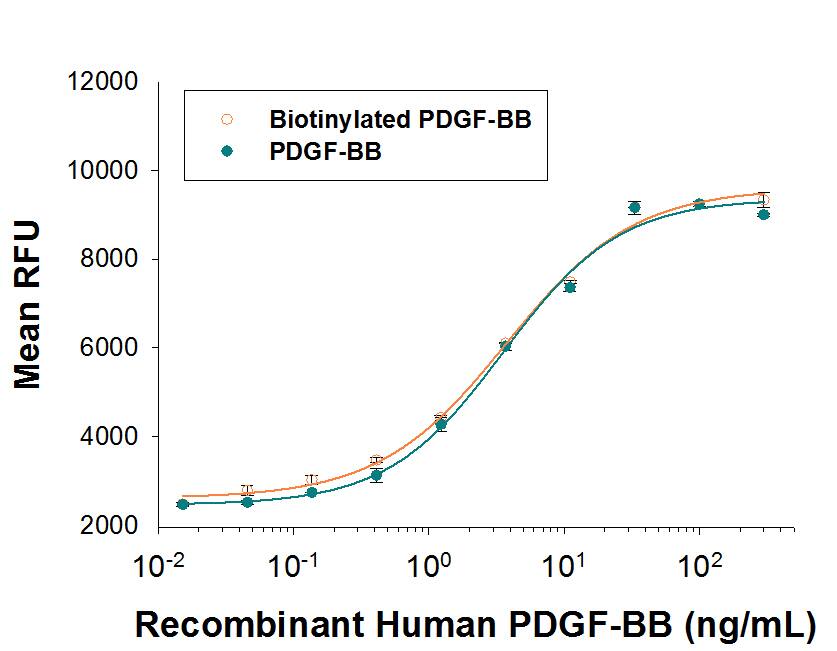 Both Biotinylated Recombinant Human PDGF‑BB     (Catalog # BT220/CF)  and unlabeled Recombinant Human PDGF‑BB     (Catalog #  220‑BB)  stimulate NR6R‑3T3 mouse fibroblast cell proliferation. The ED50 for this effect is 1.5‑6 ng/mL. The similarity in activity highlights that the biotinylated protein is fully functional.