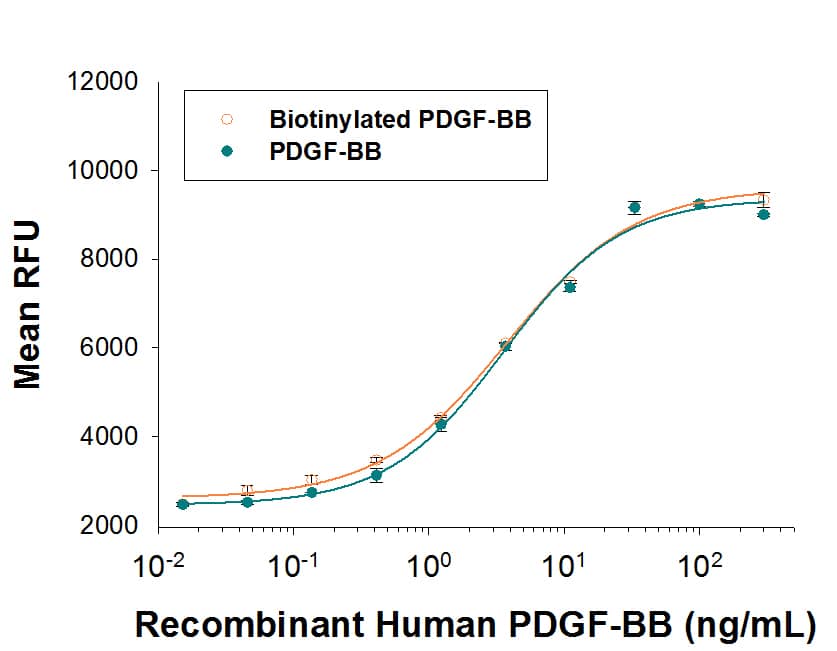 Both Biotinylated Recombinant Human PDGF‑BB (Catalog # BT220) and unlabeled Recombinant Human PDGF‑BB     (Catalog #  220‑BB)  stimulate NR6R‑3T3 mouse fibroblast cell proliferation. The ED50 for this effect is 1.5‑6 ng/mL. The similarity in activity highlights that the biotinylated protein is fully functional.